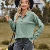 Collared Neck Long Sleeve Blouse